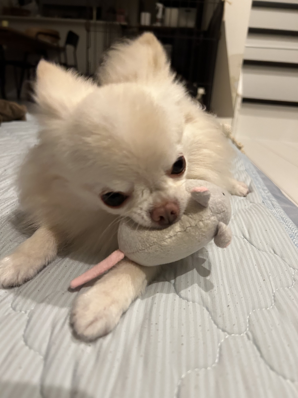 癒し